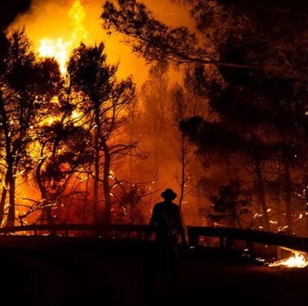 Le Royaume-Uni envoie des pompiers pour lutter contre les incendies de forêt en Grèce