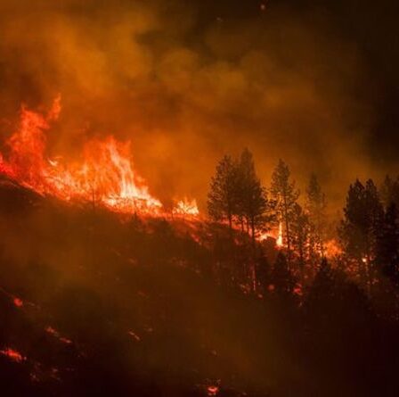 Le changement climatique provoque des incendies et des inondations aux États-Unis