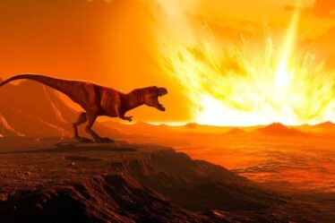 Le changement climatique tuait des dinosaures AVANT le coup d'un astéroïde – une nouvelle étude réécrit l'histoire