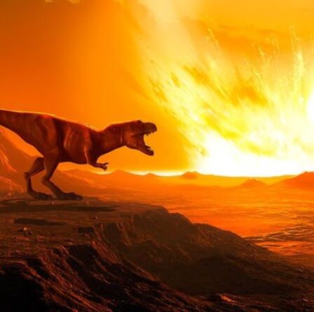 Le changement climatique tuait des dinosaures AVANT le coup d'un astéroïde – une nouvelle étude réécrit l'histoire