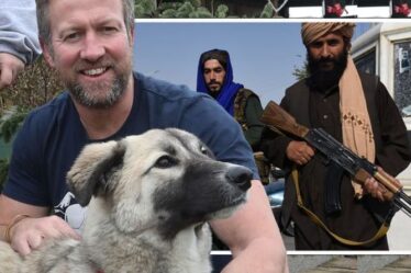 Le chien de Pen Farthing "poignardé par les talibans" au poste de contrôle de Kaboul