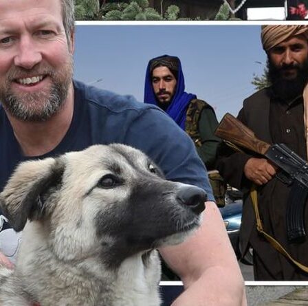 Le chien de Pen Farthing "poignardé par les talibans" au poste de contrôle de Kaboul