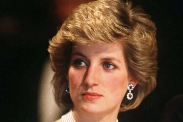 Le «faux témoin oculaire» de la princesse Diana a affirmé l'avoir vue après un accident à Paris