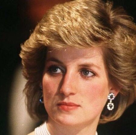 Le «faux témoin oculaire» de la princesse Diana a affirmé l'avoir vue après un accident à Paris
