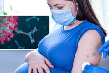 Le lait maternel des mères vaccinées pourrait aider à protéger leur progéniture de Covid - nouvelle étude