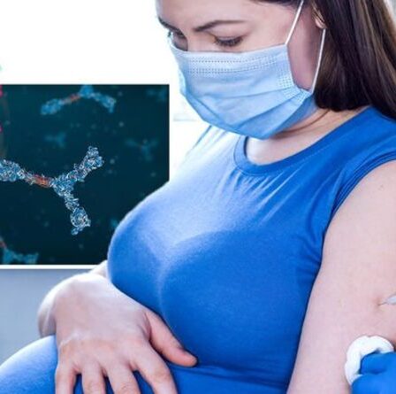 Le lait maternel des mères vaccinées pourrait aider à protéger leur progéniture de Covid - nouvelle étude