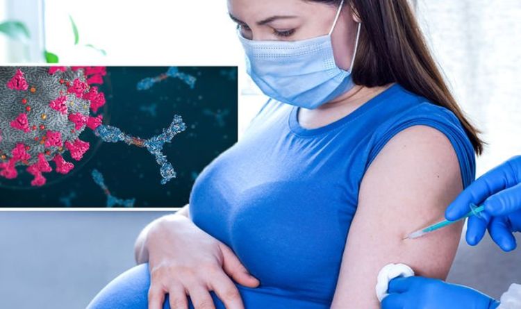 Le lait maternel des mères vaccinées pourrait aider à protéger leur progéniture de Covid - nouvelle étude