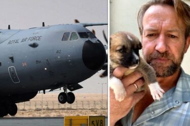 Le miracle de Pen Farthing alors qu'il sauve ET sauve des chiens à bord du jet d'évacuation de l'aéroport de Kaboul AUJOURD'HUI