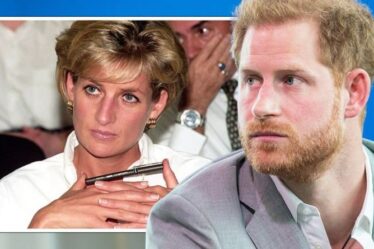 Le prince Harry imitant la princesse Diana avec une «option nucléaire» pour endommager la famille royale à la sortie