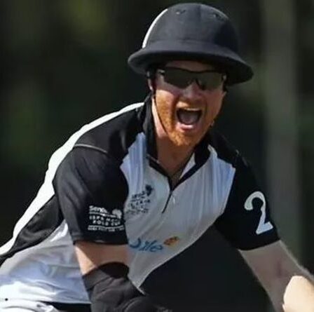 Le prince Harry vole la vedette lors d'un match de polo américain en marquant deux buts : "Notre prince fringant !"