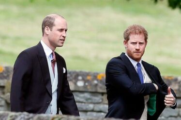Le prince William a accusé le prince Harry de faire passer « la célébrité avant la famille »