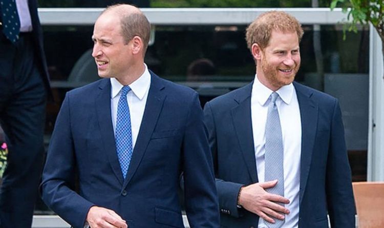 Le prince William ne « donne pas la priorité » à la réconciliation de Harry, selon un expert royal