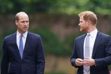 Le prince William « souhaitait être séparé de Meghan » au milieu d'une dispute avec Harry