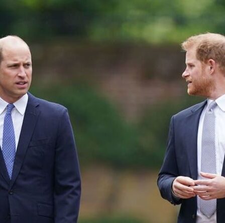 Le prince William « souhaitait être séparé de Meghan » au milieu d'une dispute avec Harry