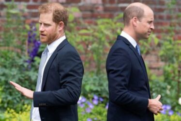 Le prince William "très frustré" alors que le duc de Cambridge a "perdu" le prince Harry avec le chat d'Oprah