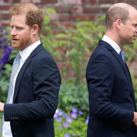 Le prince William "très frustré" alors que le duc de Cambridge a "perdu" le prince Harry avec le chat d'Oprah