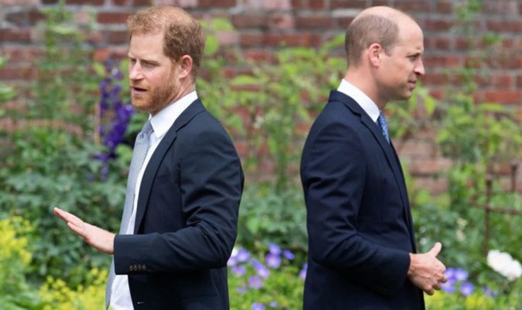 Le prince William "très frustré" alors que le duc de Cambridge a "perdu" le prince Harry avec le chat d'Oprah