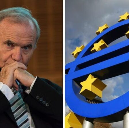 Le prophète de la BCE a averti que le « château de cartes » de l'euro s'effondrait : « Ne peut pas continuer indéfiniment !
