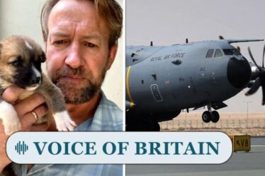 Le sort de Pen Farthing après avoir abandonné des animaux sauvés à Kaboul divise les Britanniques