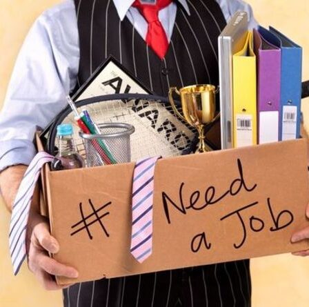 « Le ticket d'or pour décrocher un emploi de rêve » - comment prouver que vous êtes le meilleur candidat