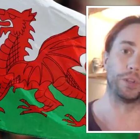 « Légèrement sur la fierté de la nation ! »  Le Pays de Galles exige que le dragon sur le drapeau national « reçoive un pénis »