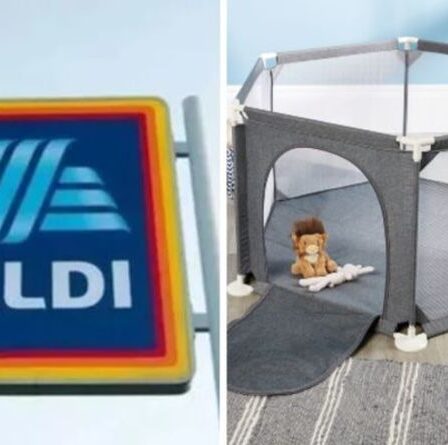 Les acheteurs d'Aldi «qui changent la vie» éclatent à propos d'un nouveau Specialbuy «d'excellent rapport qualité-prix» - toujours en stock