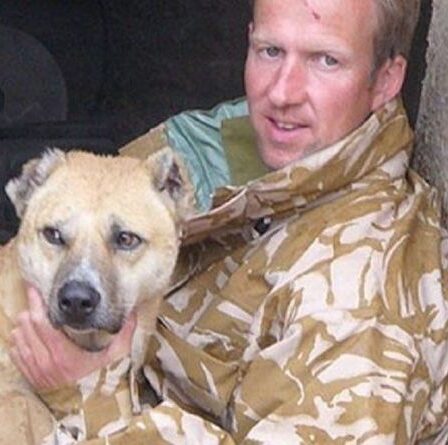 « Les animaux avant les enfants ! »  Pen Farthing critiqué alors que le débat «animaux de compagnie contre personnes» éclate sur l'évacuation