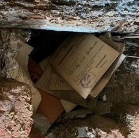 Les archéologues chancelaient alors que les inondations en Allemagne découvrent des fichiers nazis extrêmement rares