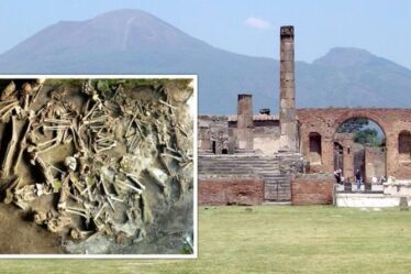 Les archéologues de Pompéi déconcertés par une découverte « importante » montre une différence dans les régimes romains