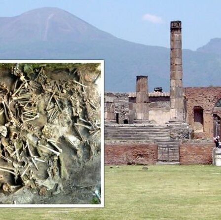 Les archéologues de Pompéi déconcertés par une découverte « importante » montre une différence dans les régimes romains