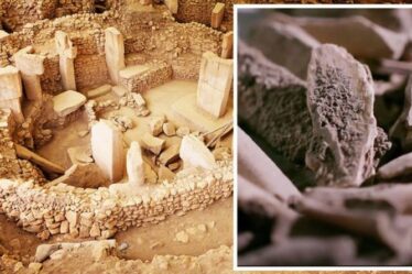 Les archéologues "découverte à couper le souffle" d'un ancien cercle de pierres "plus vieux que Stonehenge"
