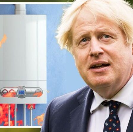 Les factures d'énergie devraient monter en flèche dans le cadre d'un nouveau plan « vert » de 4 milliards de livres sterling alors que la technologie « inutile » fustigée