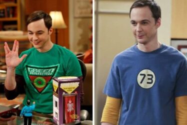 Les fans de Big Bang Theory exposent un «trou de l'intrigue» flagrant dans la rangée de mandats de Sheldon et Leonard
