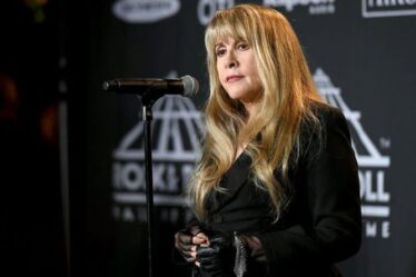 Les inquiétudes de Stevie Nicks concernant le coronavirus voient la star «dévastée» de Fleetwood Mac annuler la tournée 2021