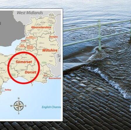 Les maisons de Somerset et d'East Anglia "ne peuvent pas être sauvées" car l'élévation du niveau de la mer risque d'être évacuée