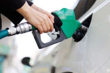 Les nouveaux changements de carburant E10 « augmenteront la consommation » car les voitures « ne fonctionneront pas aussi efficacement »