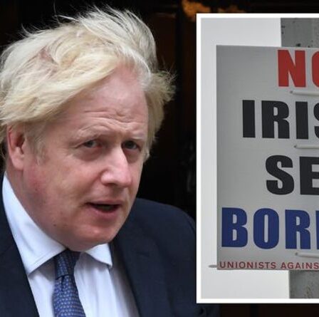 Les problèmes commerciaux de l'Irlande du Nord sont «non durables» et l'UE est à blâmer - sondage