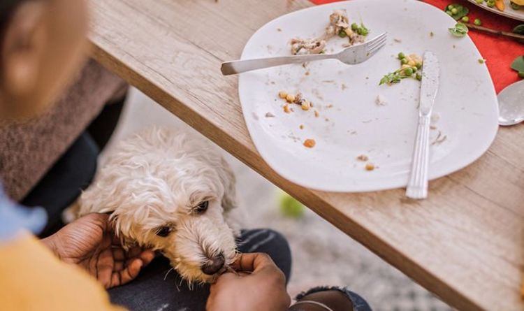 Les propriétaires de chiens ont mis en garde contre le fait de donner des restes de repas aux animaux de compagnie en tant que légumes liés à une maladie mortelle