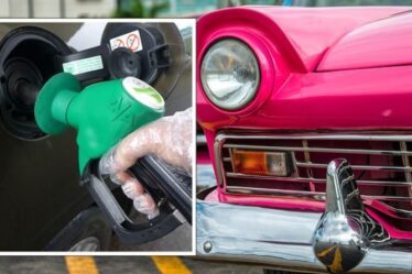 Les propriétaires de voitures à essence sont confrontés à une « loterie » lorsqu'ils font le plein après les changements de carburant de l'E10 de septembre