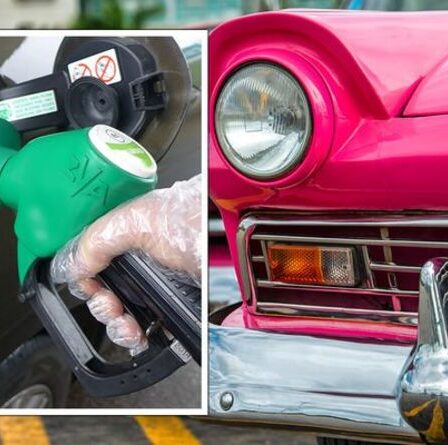 Les propriétaires de voitures à essence sont confrontés à une « loterie » lorsqu'ils font le plein après les changements de carburant de l'E10 de septembre