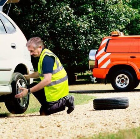Les propriétaires de voitures classiques ne devraient pas utiliser de carburant E10 «corrosif» qui devrait être lancé dans des semaines, prévient AA