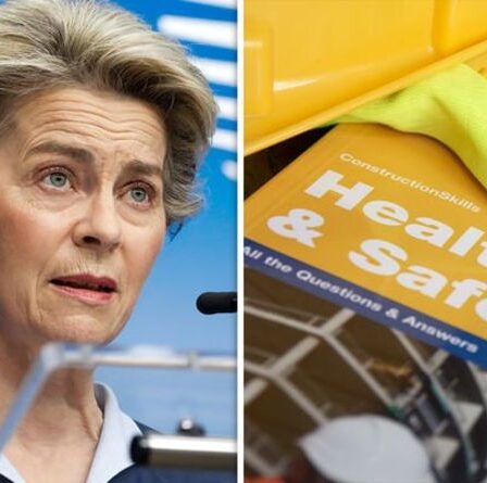 Les règles de l'UE en matière de santé et de sécurité imposent des «coûts inutiles» aux entreprises britanniques