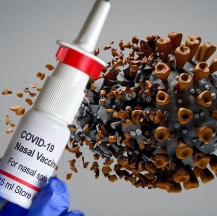 Les sprays nasaux pourraient-ils détenir la clé pour vaincre la variante Delta Covid ? Nouveau résultat d'étude