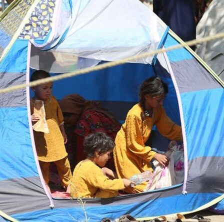 Les talibans "saisissent des filles aussi jeunes que 12 pour des esclaves sexuelles" en Afghanistan