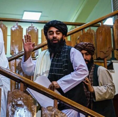 Les talibans sont-ils une démocratie ?  Comment les talibans pourraient gouverner l'Afghanistan