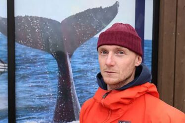 Les touristes alimentent le commerce de viande de baleine en Islande