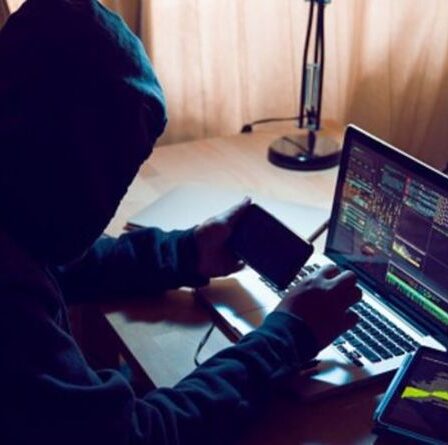 Les utilisateurs de PayPal invités à se méfier des escroqueries par envoi excessif