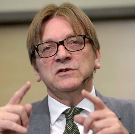 L'eurodéputé anti-Brexit dit bizarrement que la crise en Afghanistan prouve la nécessité d'un « bon sens ! » pour l'armée européenne