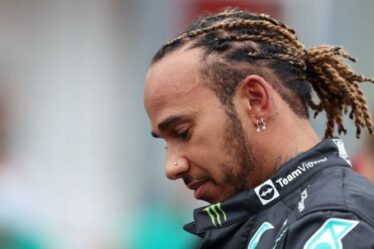 Lewis Hamilton fustigé pour avoir "pris des libertés" au milieu du combat pour le championnat de Max Verstappen