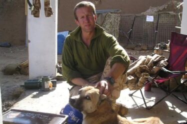 L'ex-Royal Marine qui a créé une association caritative pour les animaux en Afghanistan se déchaîne - "Vraiment honteux"